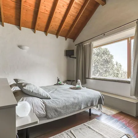 Cozy Holiday In San Mateo With Jacuzzi